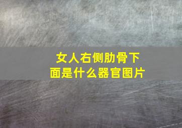 女人右侧肋骨下面是什么器官图片