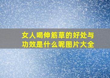 女人喝伸筋草的好处与功效是什么呢图片大全