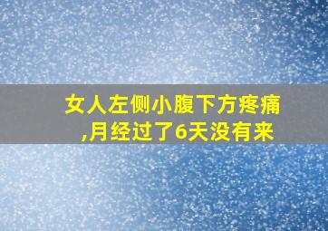 女人左侧小腹下方疼痛,月经过了6天没有来