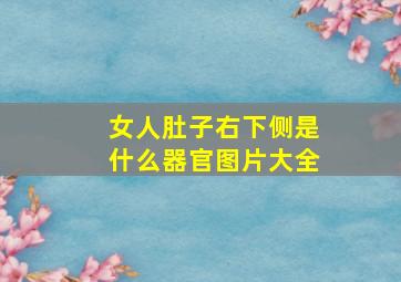 女人肚子右下侧是什么器官图片大全