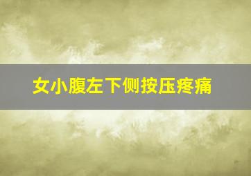 女小腹左下侧按压疼痛