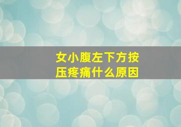 女小腹左下方按压疼痛什么原因