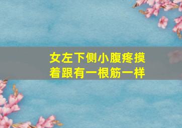 女左下侧小腹疼摸着跟有一根筋一样