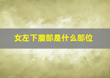 女左下腹部是什么部位