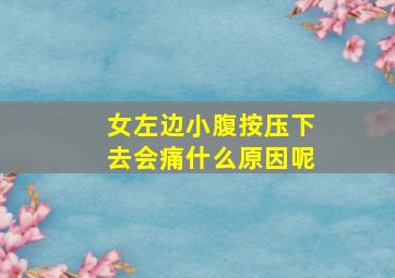 女左边小腹按压下去会痛什么原因呢