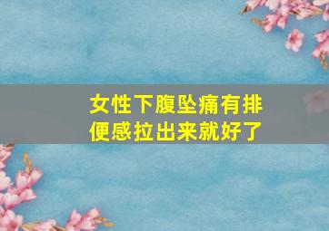 女性下腹坠痛有排便感拉出来就好了