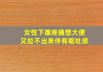 女性下腹疼痛想大便又拉不出来伴有呕吐感