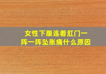 女性下腹连着肛门一阵一阵坠胀痛什么原因