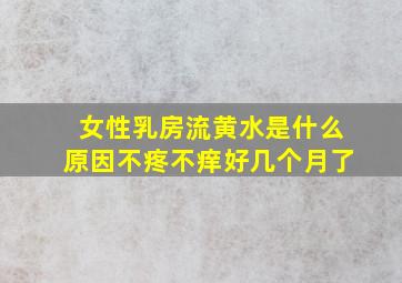 女性乳房流黄水是什么原因不疼不痒好几个月了