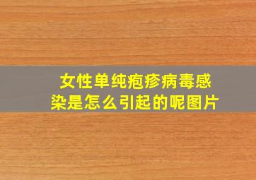 女性单纯疱疹病毒感染是怎么引起的呢图片