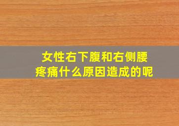 女性右下腹和右侧腰疼痛什么原因造成的呢