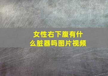 女性右下腹有什么脏器吗图片视频