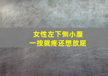 女性左下侧小腹一按就疼还想放屁