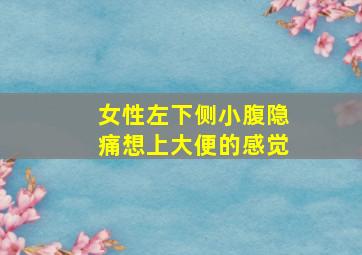 女性左下侧小腹隐痛想上大便的感觉