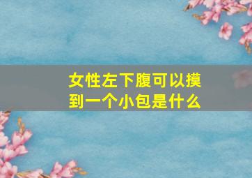 女性左下腹可以摸到一个小包是什么