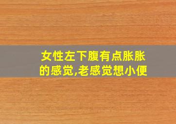 女性左下腹有点胀胀的感觉,老感觉想小便