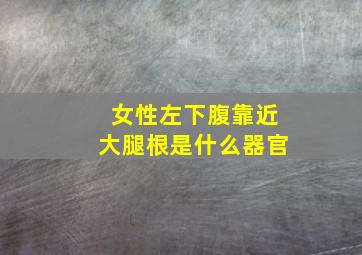 女性左下腹靠近大腿根是什么器官