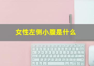 女性左侧小腹是什么