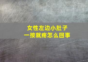 女性左边小肚子一按就疼怎么回事