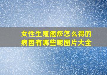 女性生殖疱疹怎么得的病因有哪些呢图片大全