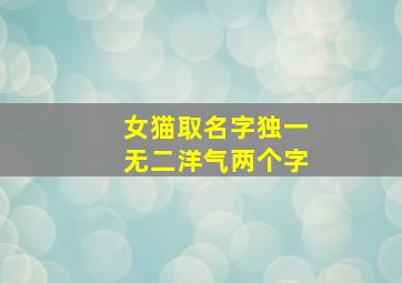 女猫取名字独一无二洋气两个字