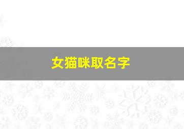 女猫咪取名字