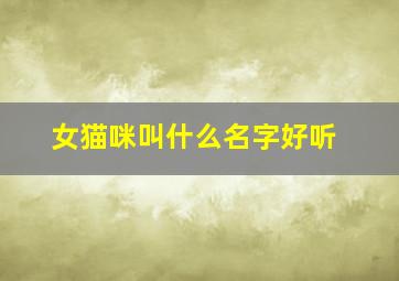 女猫咪叫什么名字好听