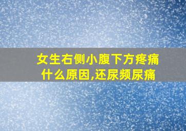 女生右侧小腹下方疼痛什么原因,还尿频尿痛