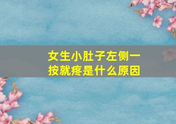 女生小肚子左侧一按就疼是什么原因