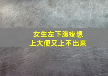 女生左下腹疼想上大便又上不出来