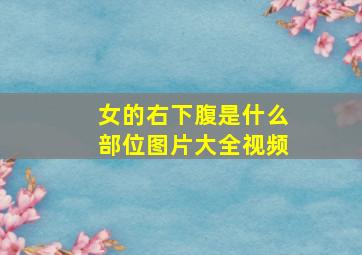 女的右下腹是什么部位图片大全视频