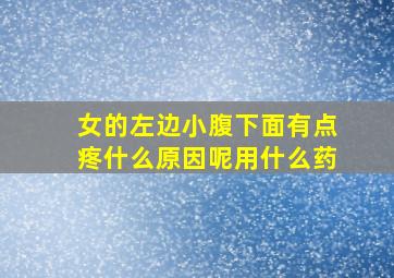 女的左边小腹下面有点疼什么原因呢用什么药