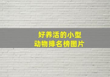 好养活的小型动物排名榜图片