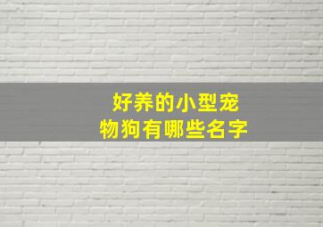 好养的小型宠物狗有哪些名字