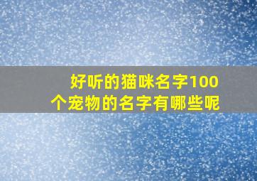 好听的猫咪名字100个宠物的名字有哪些呢