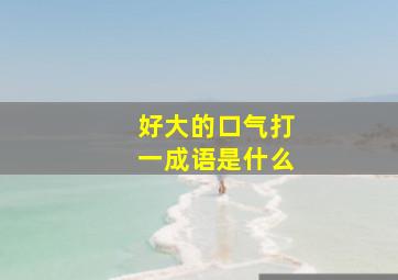 好大的口气打一成语是什么