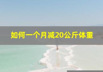 如何一个月减20公斤体重