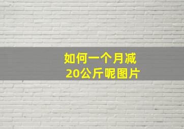 如何一个月减20公斤呢图片