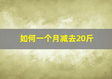 如何一个月减去20斤