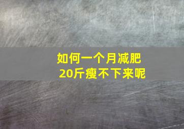 如何一个月减肥20斤瘦不下来呢