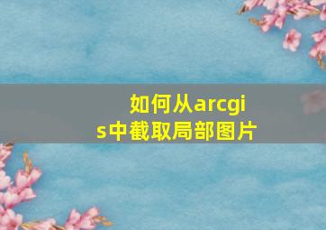 如何从arcgis中截取局部图片