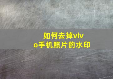 如何去掉vivo手机照片的水印