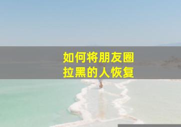 如何将朋友圈拉黑的人恢复