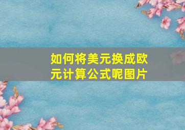 如何将美元换成欧元计算公式呢图片