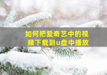 如何把爱奇艺中的视频下载到u盘中播放