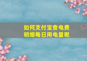 如何支付宝查电费明细每日用电量呢