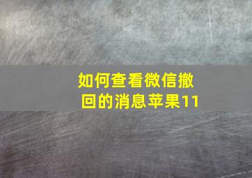 如何查看微信撤回的消息苹果11