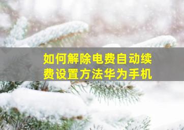 如何解除电费自动续费设置方法华为手机