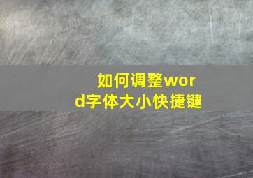 如何调整word字体大小快捷键