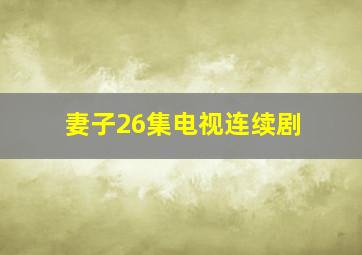 妻子26集电视连续剧